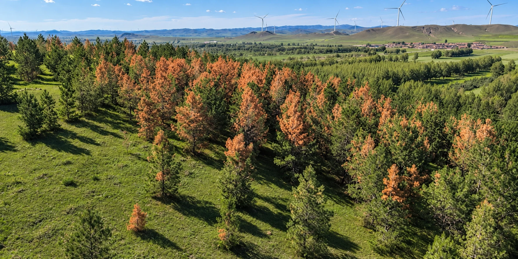 Paisaje forestal con árboles y vegetación